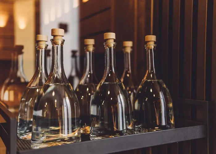 Sowa Apart-hotel Bydgoszcz